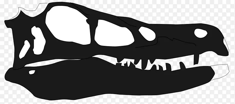 直线运动图形黑白恐龙尖角龙-恐龙