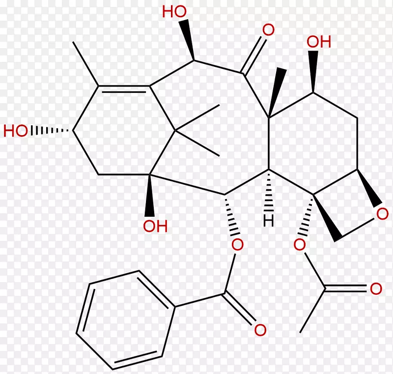 紫杉醇10-去乙酰化巴卡汀化学中药植物化学-成都