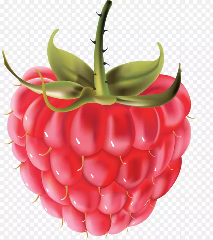 图形raspberry剪贴画png图片浆果