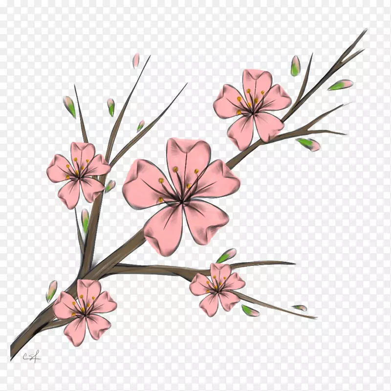 樱花樱桃花设计-樱花