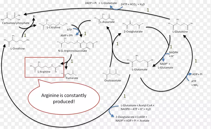 绘制产品/m/02csf图线-反应物尿素循环