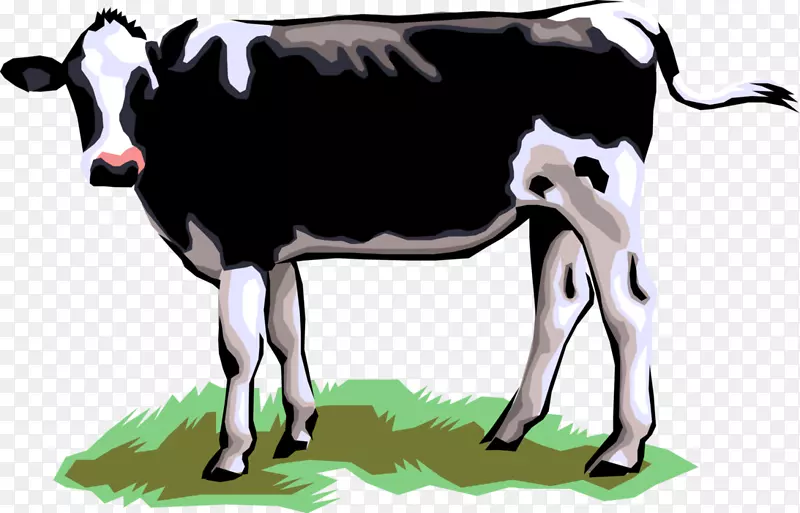 奶牛、泽西牛、牛巴卡牛、荷斯坦牛、弗里西亚牛、带心脏的泽西牛