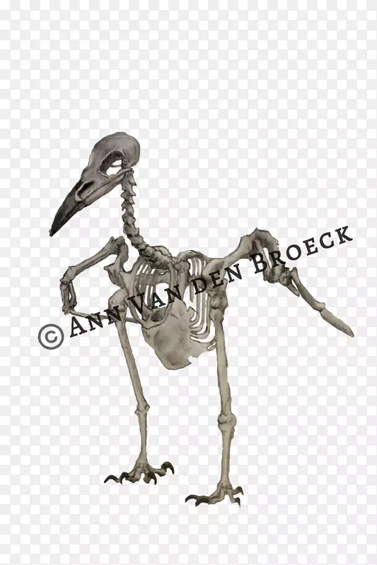 水鸟骨架雕像-疯狂骨骼猫