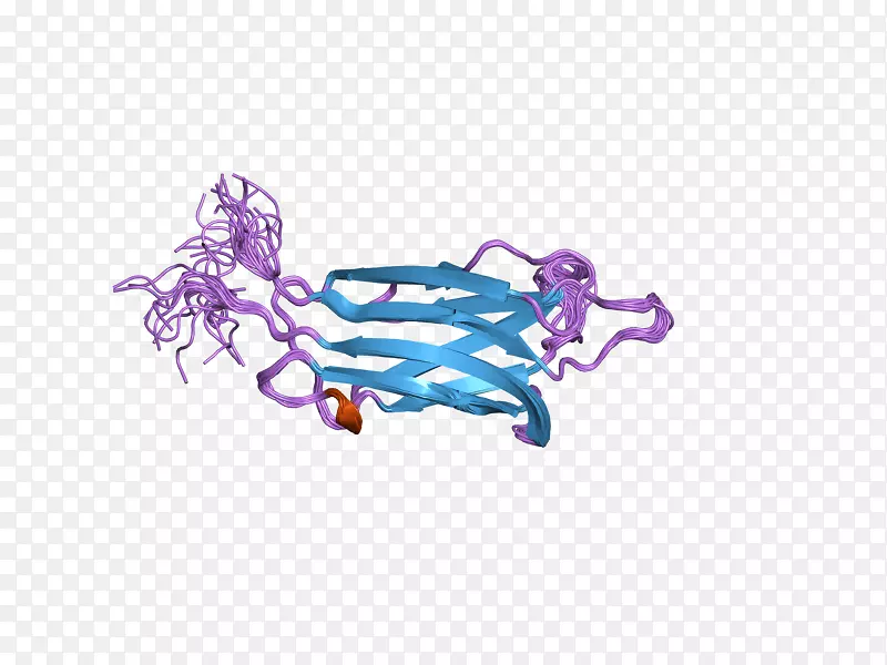 人肌铁蛋白c2结构域