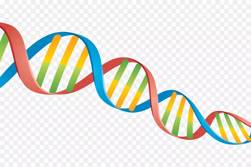 DNA核酸双螺旋剪贴术png图片生物学.dna透明和半透明