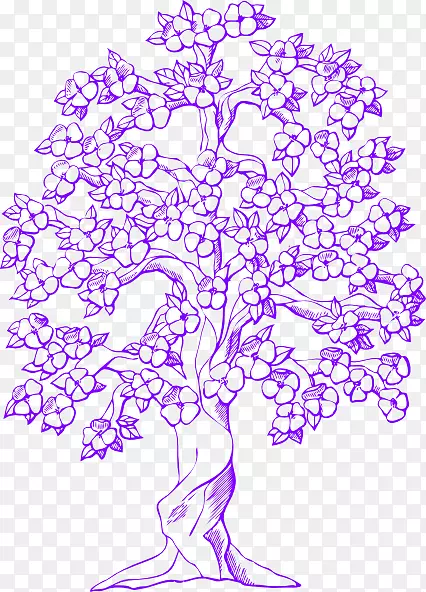开花的山茱萸画的山茱萸图片-紫色的香蕉树夏威夷