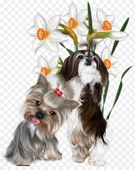 剪贴画花卉图形插图图像-花