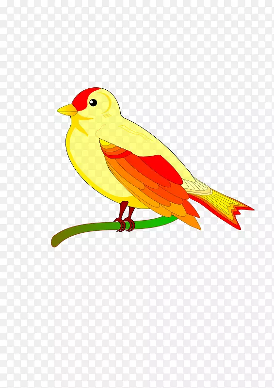 鸟类剪贴画图形鹦鹉计算机图标-鸟
