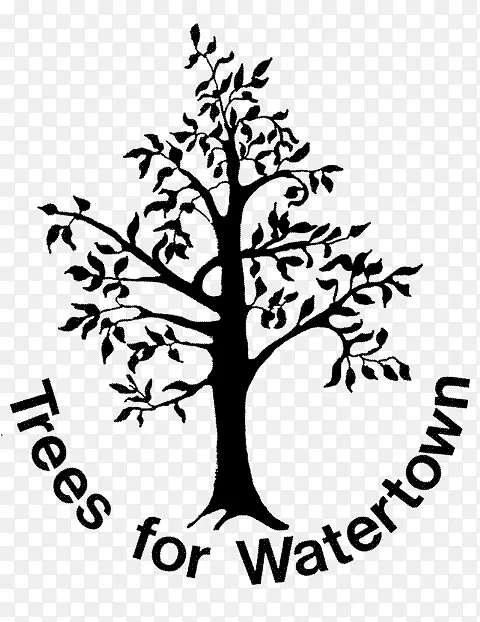 水城梅费恩行星组织萨默维尔树-和平树标志