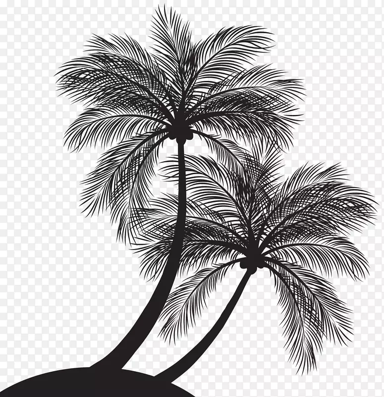 棕榈树剪贴画剪影图像图形.剪影