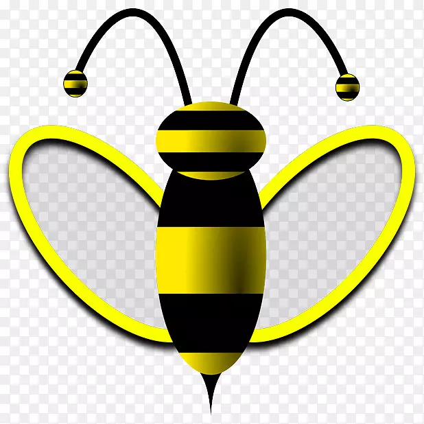 西方蜜蜂黄蜂雄蜂图片-蜜蜂