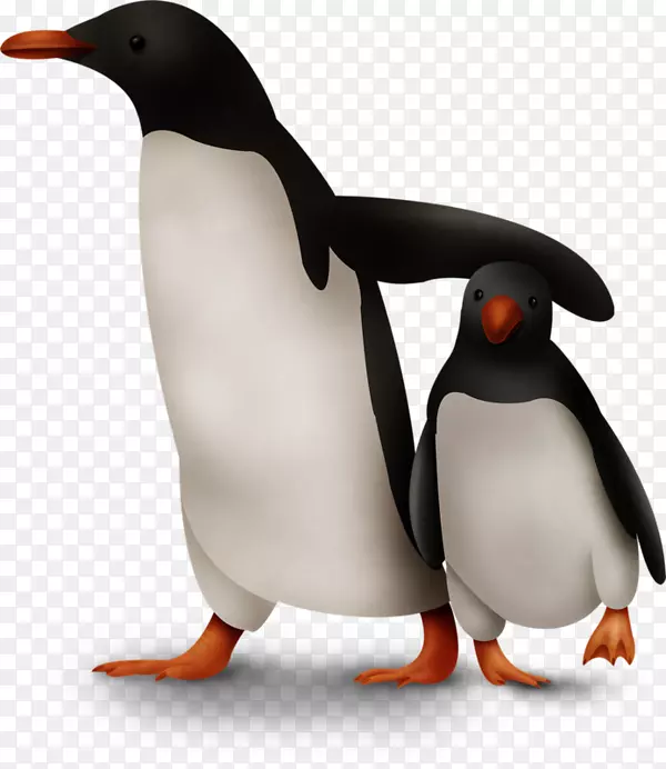 帝企鹅土坯照片店png图片阿尔卡-企鹅