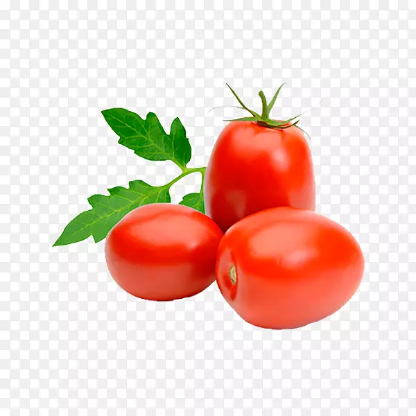 意大利菜罗马番茄李子番茄汤蔬菜