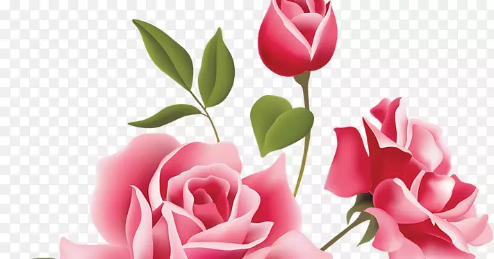 玫瑰图花卉设计剪贴画
