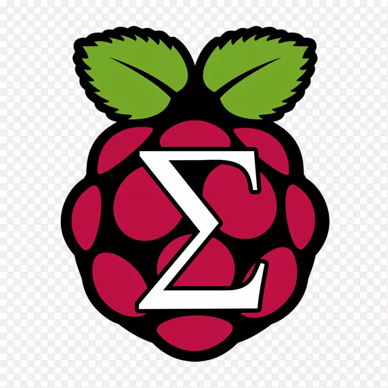 raspberry pi基金会计算机raspbian通用输入/输出计算机