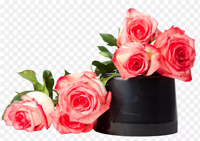 花束粉红色花园玫瑰-鲜花