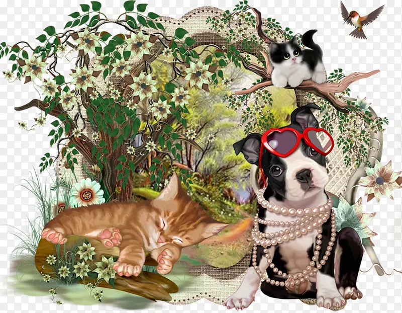 猫波士顿猎犬图形艺术PTM狗品种-猫