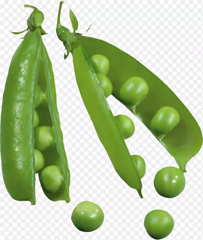 抓取豌豆png图片剪辑艺术绿豌豆素食料理-种子荚