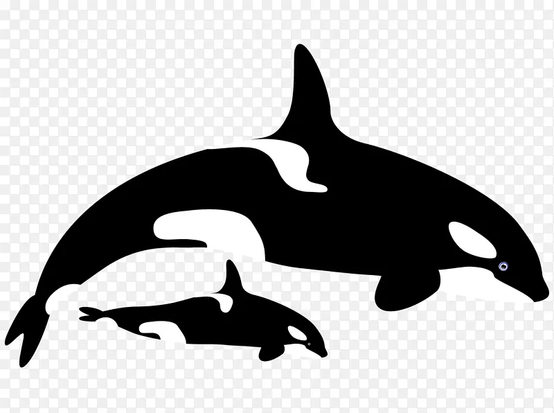 图库溪普通宽吻海豚虎鲸剪贴画-粉红色宽吻海豚