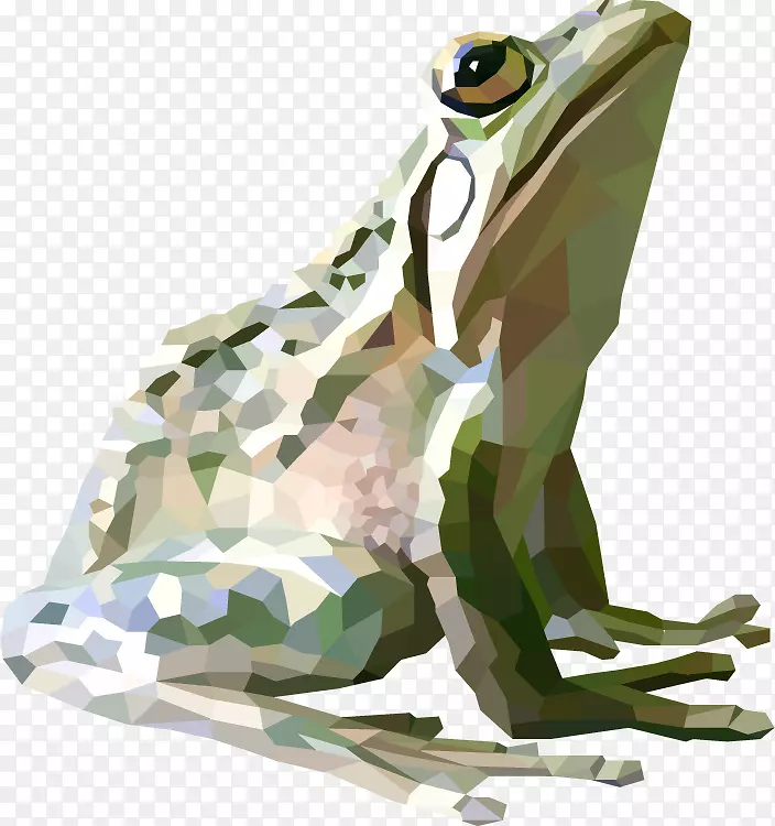 蟾蜍真蛙图形设计-青蛙