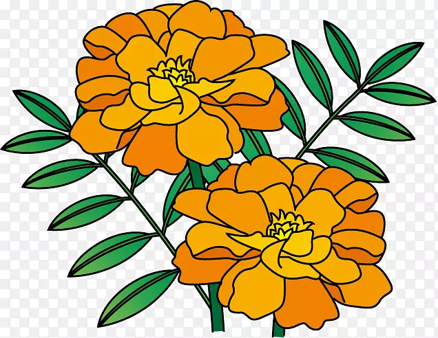 花卉设计插图万寿菊夏花