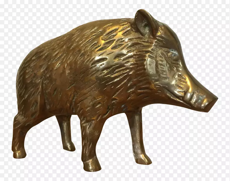 猪青铜鼻陆生动物-猪