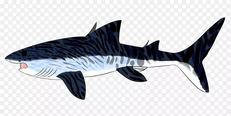 虎鲨数码艺术磷化组-鲨鱼