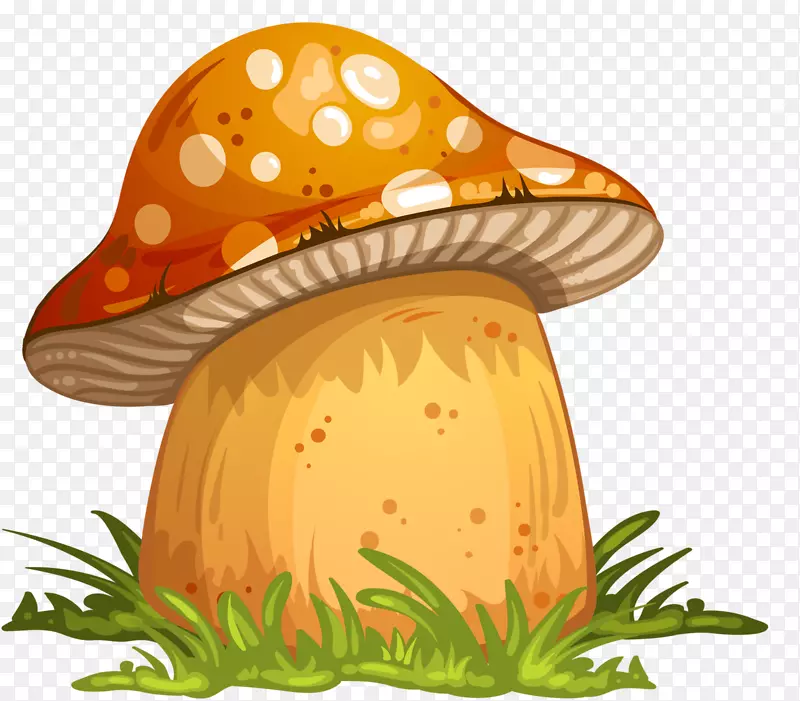 图形剪辑艺术摄影插图食用菌-蘑菇
