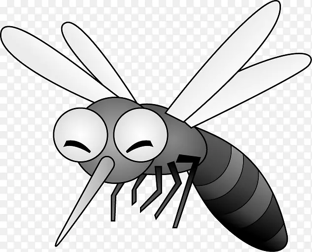蚊虫蝇图害虫-蚊子