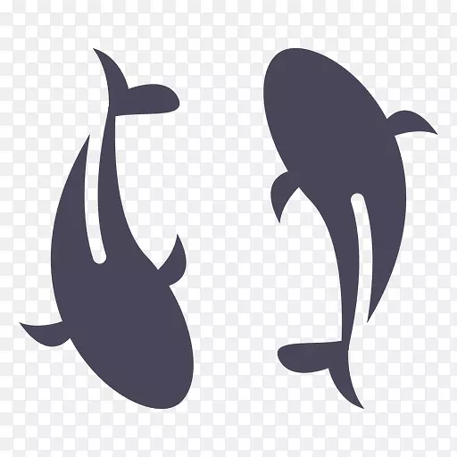 海豚锦鲤png图片图像-海豚