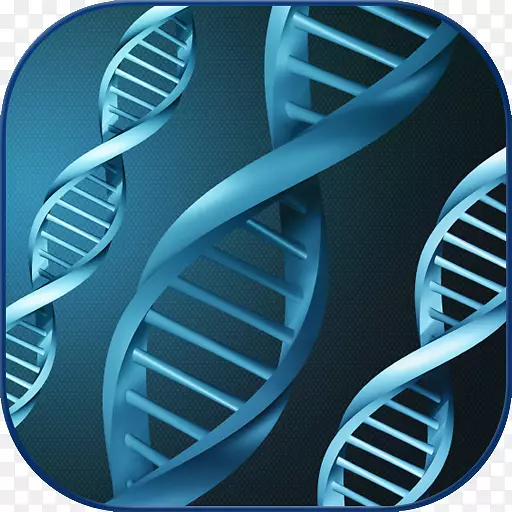 突变基因检测表观遗传学