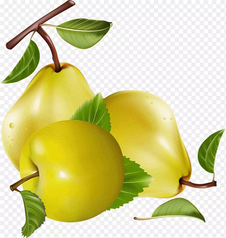 果汁梨子夹艺术浆果-果汁