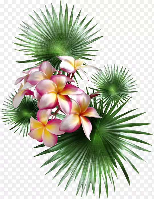 棕榈树，花瓣，绘画，png图片