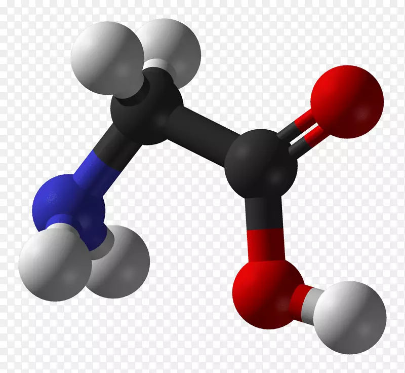 甘氨酸分子氨基酸胺官能团