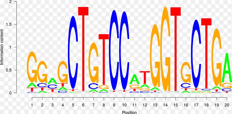 转录因子DNA结合位点序列
