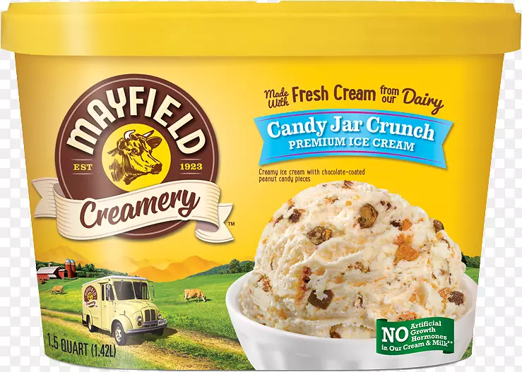 冰淇淋牛奶梅菲尔德乳制品饼干和冰淇淋-冰淇淋