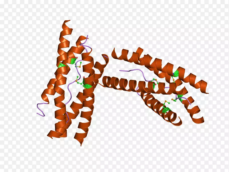 乙酰胆碱酯酶神经递质酶