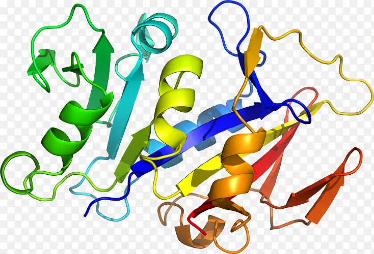 白细胞介素-1家族白细胞介素-1受体Ⅰ型白细胞介素-1受体IL1a-EEMA