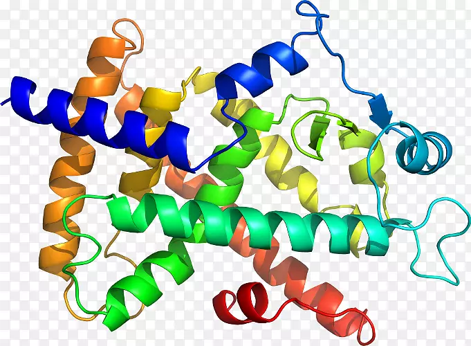 剪贴画核酸蛋白质结构氨基酸