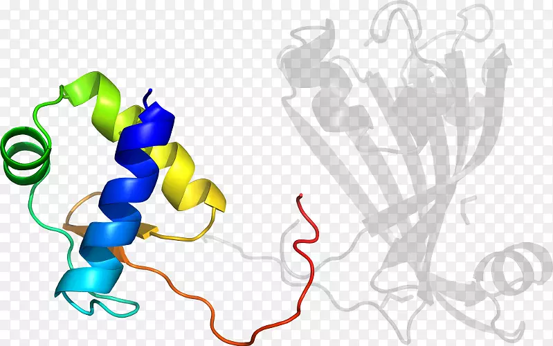 剪贴画插图图形设计标志产品设计细胞色素P 450还原酶