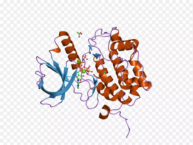 PLK 1类马球激酶蛋白磷酸肽