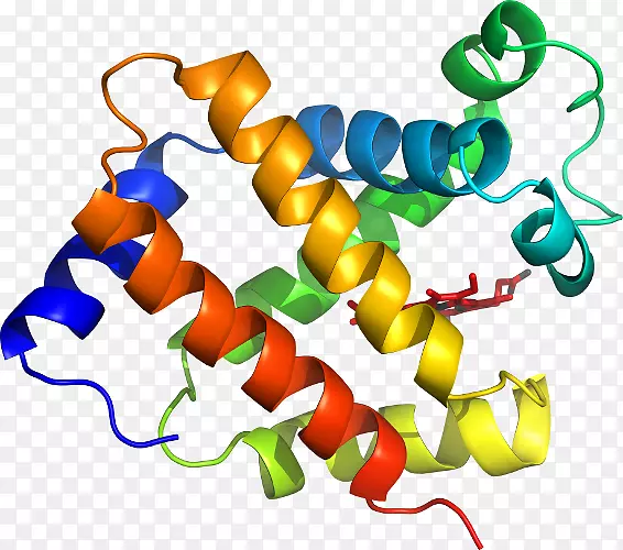 手持式网络图形血红蛋白标志有机体原卟啉