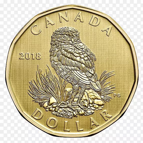 金币套美元金币皇家加拿大铸币