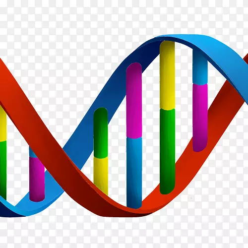 剪贴画DNA核酸双螺旋生物学剪贴画