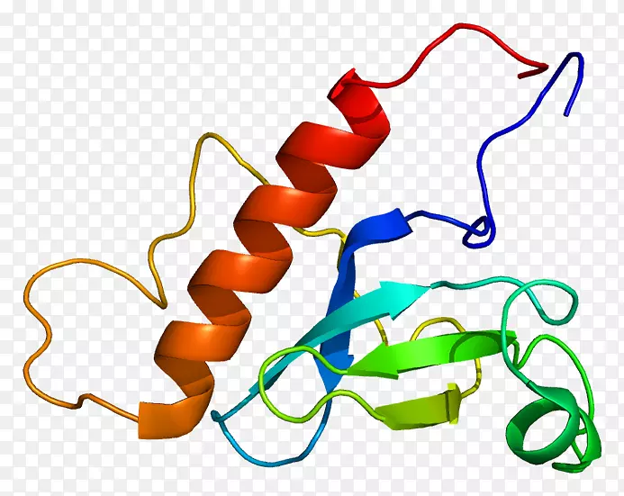 人组蛋白甲基转移酶蛋白