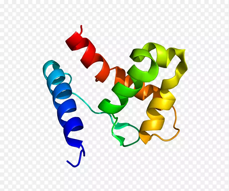 KDM5A去甲基酶蛋白基因组蛋白