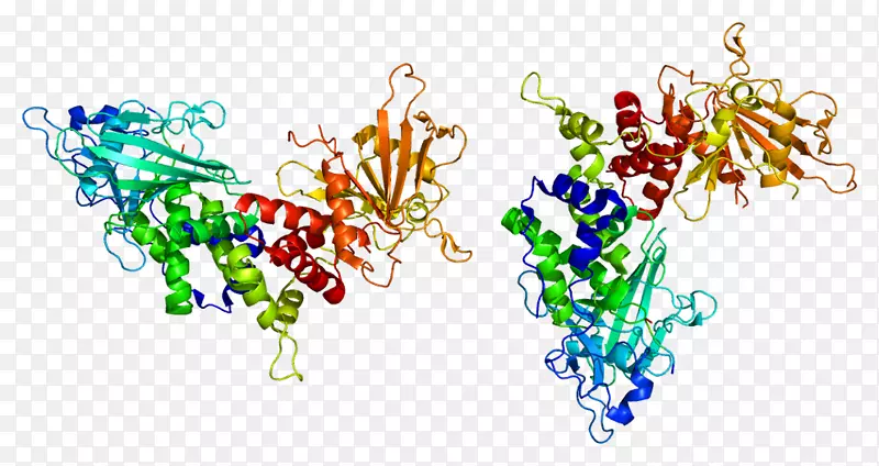 Ptprc cd 90 PNG 6437214 PNG ptprc-cd-90-png-6437214-png