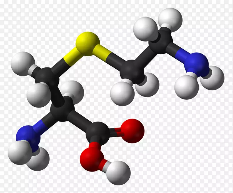 S-氨基乙基-l-半胱氨酸氨基酸乙酰半胱氨酸亚硫酸