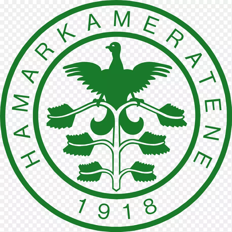 Hamarkameratene剪贴画标志产品足球-Eriksen