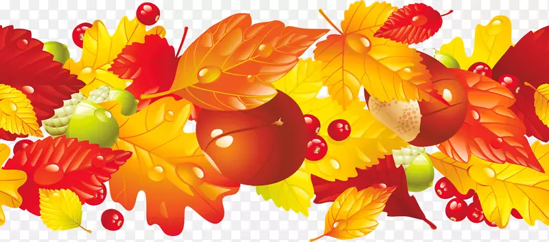 边框剪贴画图形秋季图像-Bea水彩画